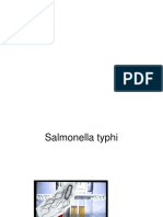 12 Cambios Salmonella