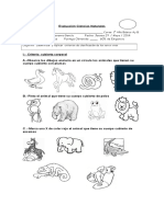 Prueba Ciencias Naturales 1° Básico Mayo