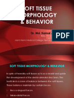 Soft Tissue Morphology