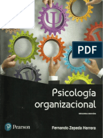 Psicologia Organizacional 