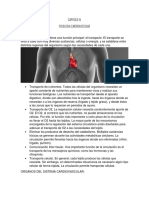 Fisiología cardiovascular y regulación de la presión arterial