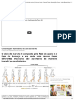 Cinesiologia e Biomecânica Do Ciclo Da Marcha - Treino em Foco - Personal Trainer, Musculação, Cursos Online, Biomecânica, Cinesiologia