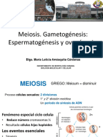 Meiosis 2018