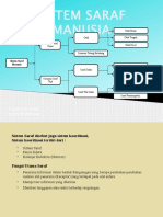 SISTEM SARAF MANUSIA.pptx