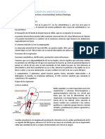 Fisiologia Pulmonar en Anestesiologia
