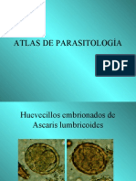4745852 Atlas a Color de Parasitologia