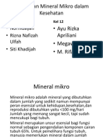 Mineral Mikro