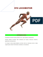 UD Aparato locomotor