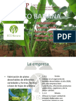 Ecobanana Marketing Estratégico