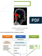 Audición y DA Envio