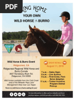 Wild Horse Flyer for California event