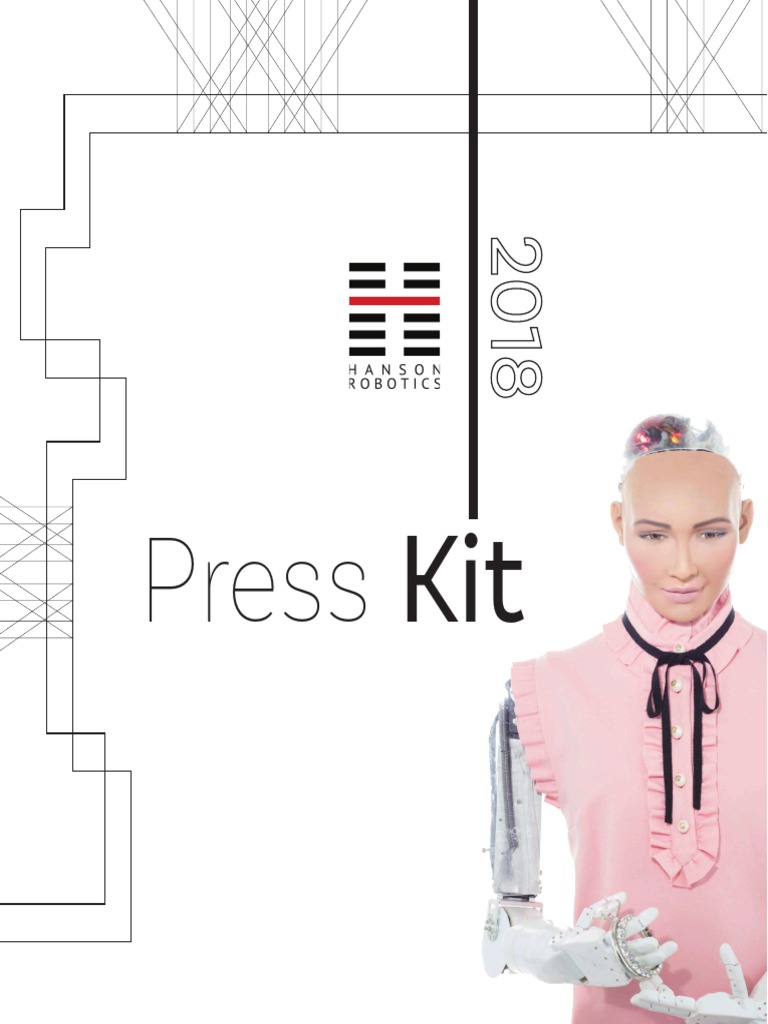 Hanson Robotics: Innovating Human-Like AI | PDF | Artificial ...