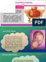 Estatica Fetal