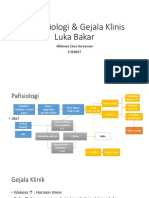 Patofisiologi & Gejala Klinis Luka Bakar