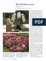 6 - Growing Best Phals Part 1 PDF