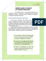 Caderneta de Saúde da Criança - guia completo sobre saúde infantil