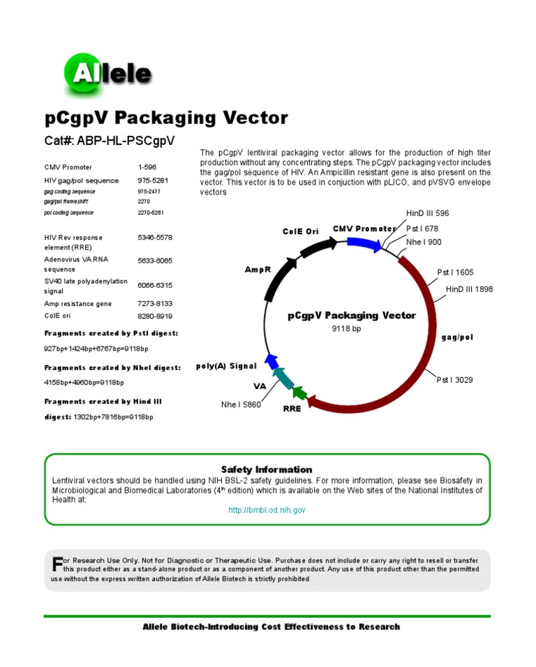 pCgpV Lentiviral Packaging Vector | PDF | Viral Vector | Hiv
