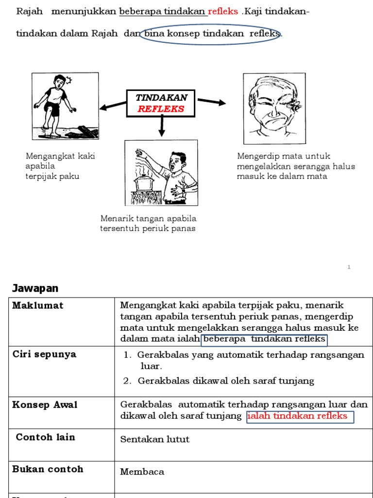 Kbkk Mengkonsepsi Pdf