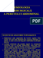 50810267-Perete-abdominal.ppt
