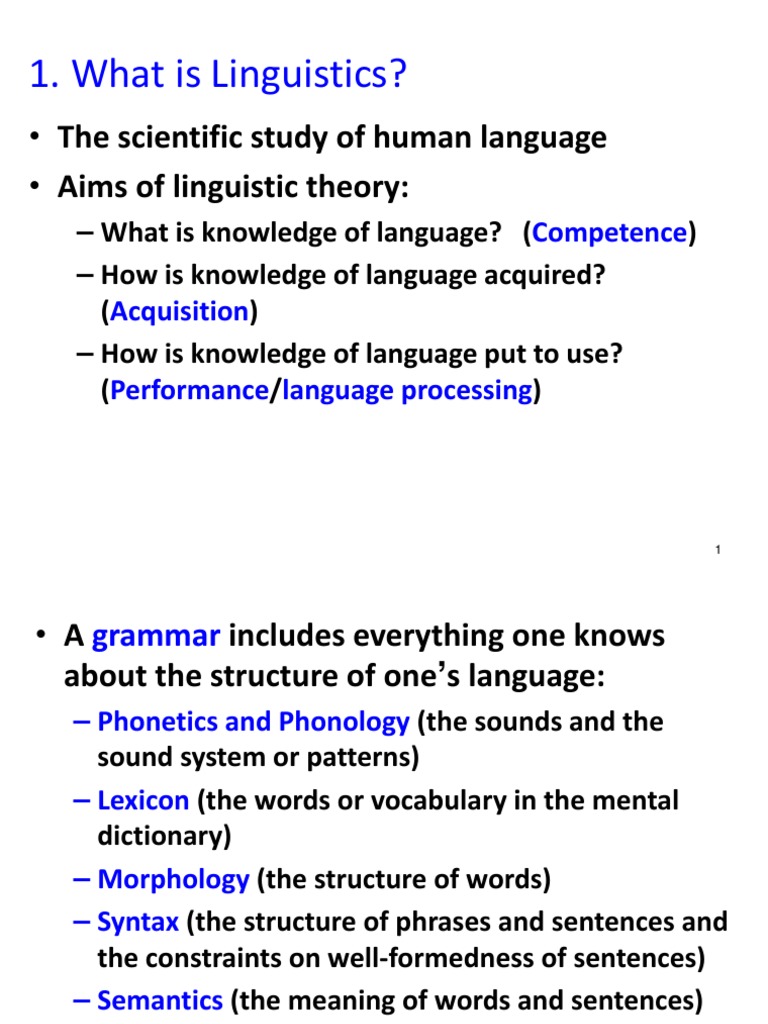Overview of Linguistic Branches | PDF | Linguistics | Speech