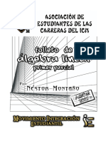 Algebra Lineal 1P NestorMontano.pdf