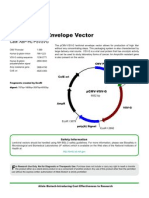 PCMV-VSV-G Vector