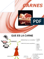 1 Caracteristicas de Carnes