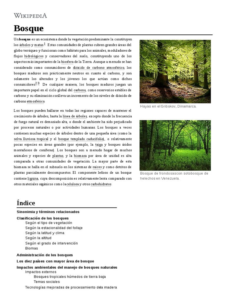Bosque Los bosques Habitat
