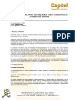 Derecho de Familia. Patria Potestad, Tutela y Otras Instituciones PDF