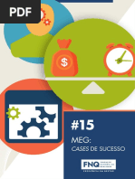 Meg Cases de Sucesso Fnq