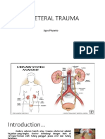 CEK URETER