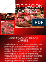 Carne