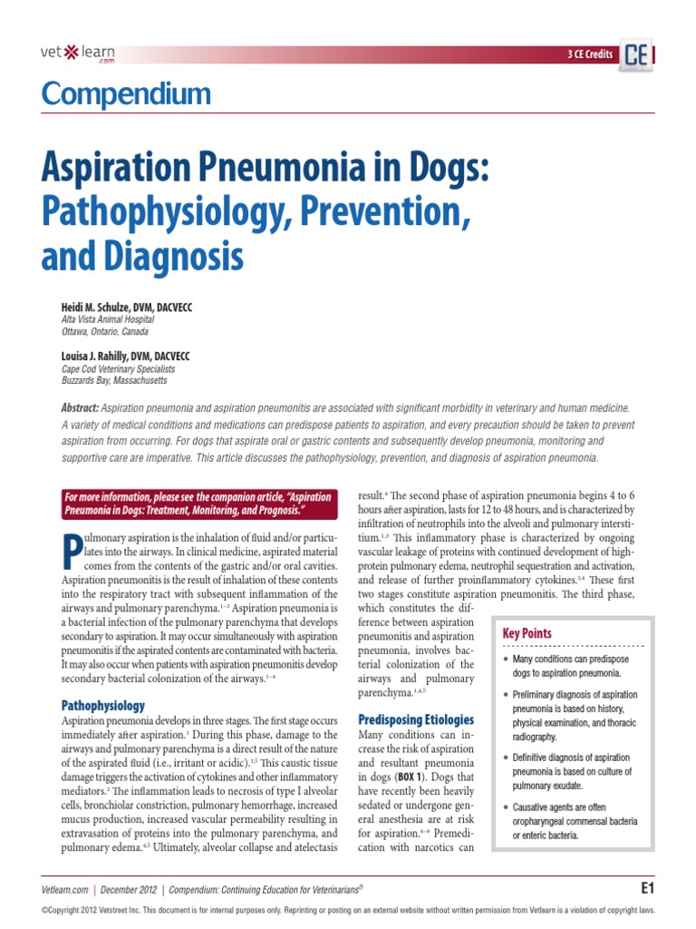 Aspirasi Pneumonia Pdf Pneumonia Gastroesophageal Reflux Disease