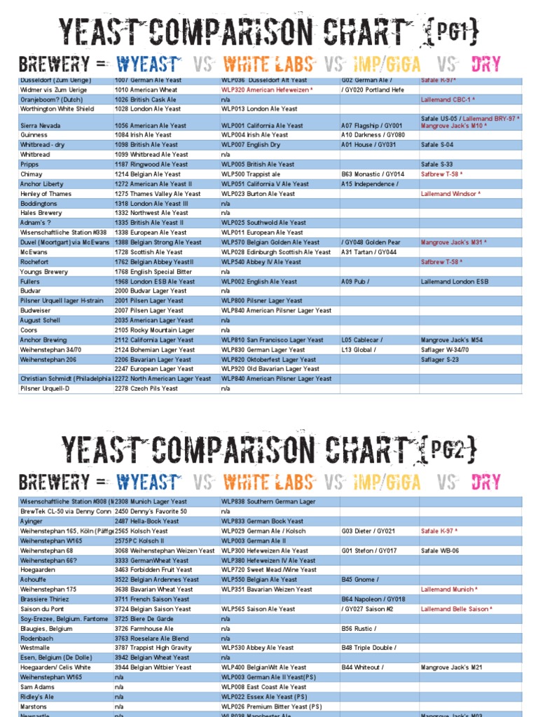 Yeast Comparison Beer Fermented Drinks