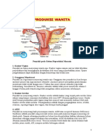 Penyakit Pada Sistem Reproduksi Manusia