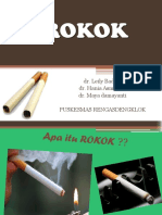 Peyuluhan Merokok Remaja