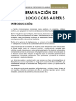 Informe de Staphylococcus Aureus