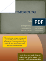 PALEOMORFOLOGI