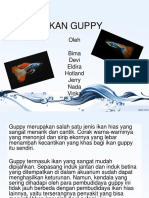 Ikan Guppy