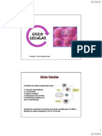 Aula Genetica 04 - Ciclo Celular