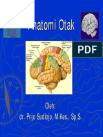 ANATOMI+OTAK+DAN+VERTEBRATA.pdf