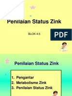 Penlaian Status Zink