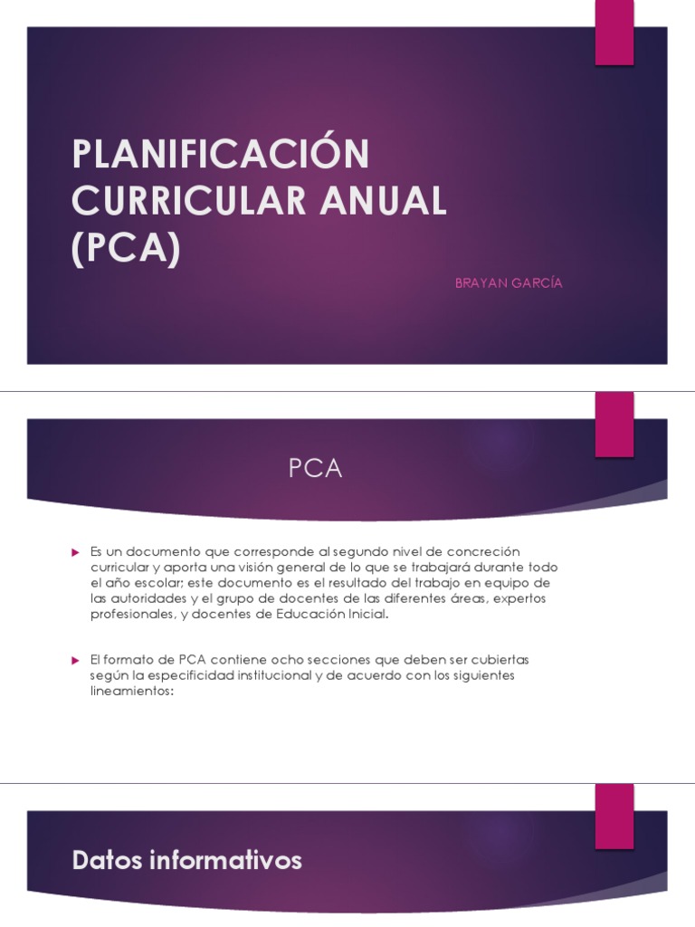 Planificación Curricular Anual (Pca) | PDF | Plan de estudios ...