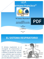 El Sistema Respiratorio (Exposicion)