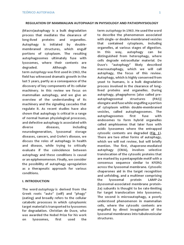 Mammalian Autophagy: Physiology & Disease | PDF | Autophagy | Proteasome
