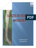 Varizes PDF