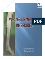 VARIZES.pdf