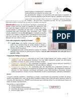 Remit PDF