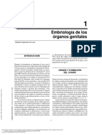 Ginecología y Obstetricia Aplicadas (2a. Ed.) - (Capítulo 1. Embriología de Los Órganos Genitales.)