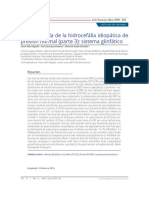 Fisiopatología de La Hidrocefália Idiopática de Presión Normal (Parte 3) Sistema Glinfático.